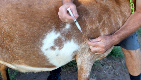 फाइल तस्बिर