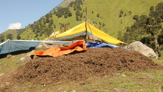 फाइल फोटो