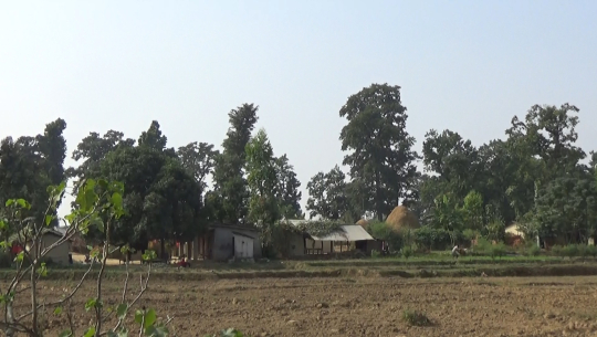 कैलालीमा अस्थायी लालपुर्जा बाडेको २५ बर्ष पुग्दै, सलबलाए माफिया