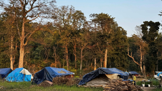 Displaced families and encroachment threaten forest conservation in Chure rural municipality, Kailali