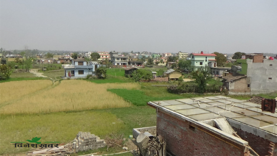 धनगढी उपमहानगरपालिका वडा नम्बर १ स्थित शिवनगरमा झगडा तालमाथि बसेको वस्ती।