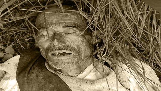 बाजुरामा मौरी हेर्न गएका वृद्धको भिरबाट चिप्लिएर मृत्यु