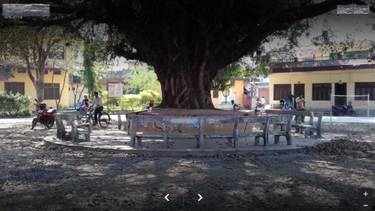 जिल्ला समन्वय समिति कैलालीका कर्मचारीमा कोरोना पुष्टि