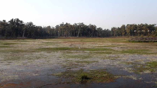 धनगढीको जाखोरतालबाट लागुऔषधसहित २ जना पक्राउ