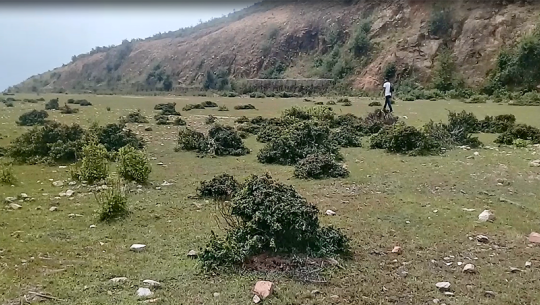 दार्चुला र अछाममा विमानस्थल बनाउन बजेट विनीयोजन