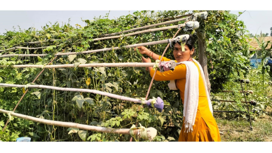 कञ्चनपुरमा ‘जलवायुमैत्री कृषि गाउँ’ स्थापना गरिँदै