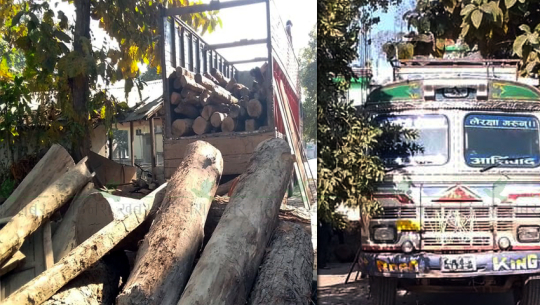 कैलाली वन्यजन्तु र वन पैदावर तस्करीको ‘ट्रान्जिट प्वाइन्ट’ बन्दै