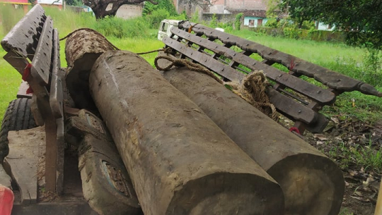 धनगढीमा अबैध काठसहित ४ जना पक्राउ