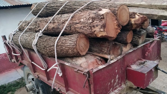 कैलालीबाट अवैध काठसहित ट्याक्टर फेला