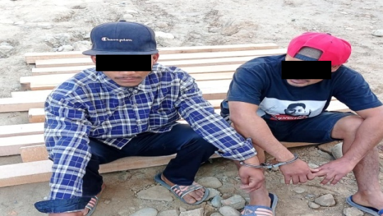 Two arrested for smuggling timber in Kanchanpur