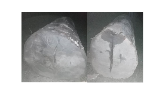 कञ्चनपुरमा अवैध काठ बरामद 