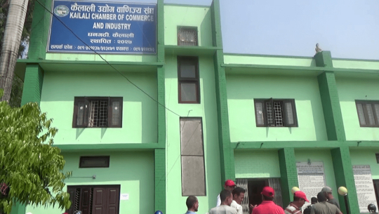 Two panels in the fray for the leadership of Kailali Chamber of Commerce and Industry
