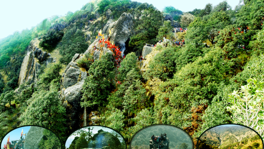 फाेटाे : शमशेर चन्द