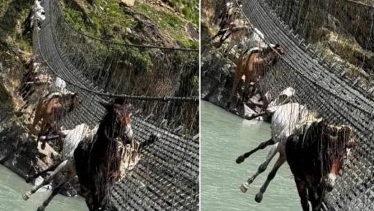 HoR meeting: Stress on maintenance of suspension bridge in Karnali