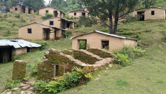 मुक्त हलिया बस्ती