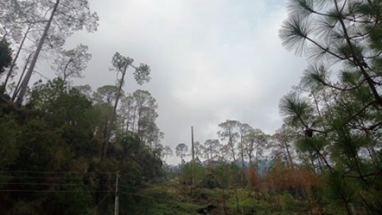 कैलालीको कम्पासे धुरामा भ्यू टावरको योजना हट्यो, बुढीतोलामा निर्माण गर्न सम्झौता
