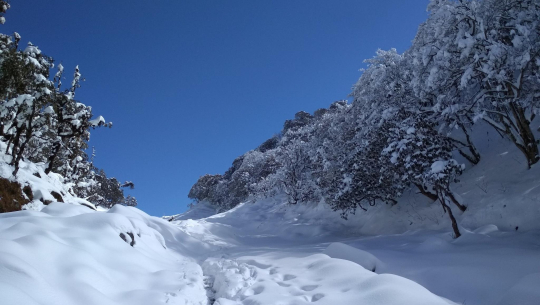 हेलिकप्टरबाट खप्तड घुमाईने