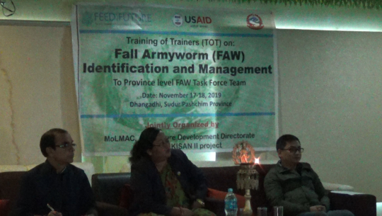 सुदुरपश्चिमका ३ जिल्लामा फौजीकीराको प्रकोप देखा