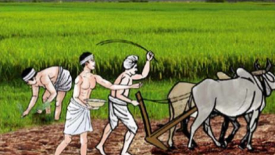 Three farmers honored with ‘Bhimdatta’ best farmer award in Kailali