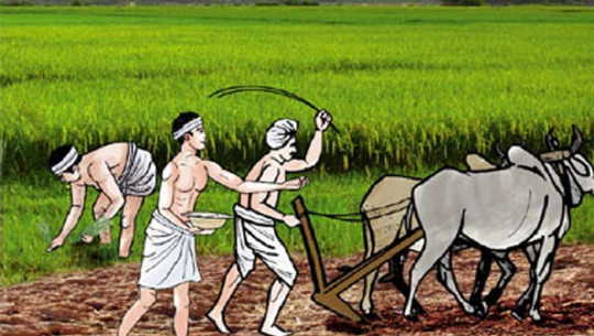 हिउँदे वर्षाले किसान हर्षित