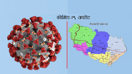 कैलालीमा शुक्रवार थपिएका ५५ जना कोरोना संक्रमित कुन स्थानीय तहका कति ?