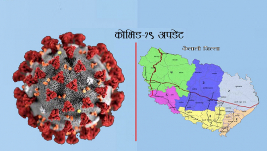 कैलालीमा संक्रमितको संख्या २६० पुग्यो, कुन स्थानीय तहका कति ?
