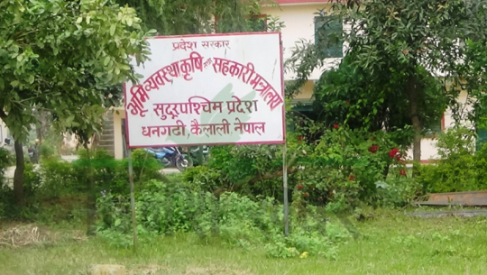 नमूना भैँसी फार्म सञ्चालन गर्ने सुदूरपश्चिम सरकारको योजना कार्यान्वयनमा ढिलाई