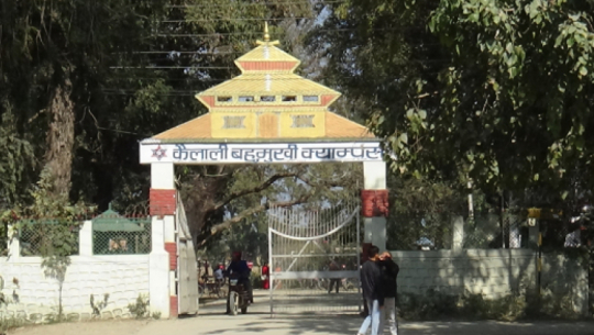 Kailali Multipurpose Campus of Dhangadhi is becoming the venue for political activities