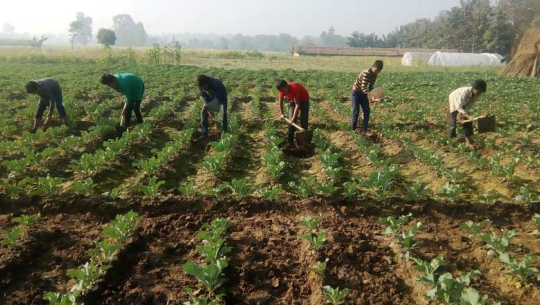 फाईल फोटो