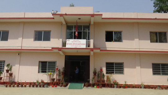 सुदूरपश्चिम सरकारद्धारा विरुवा वितरणमा एक करोड खर्च, अनियमितता भएको आशंका