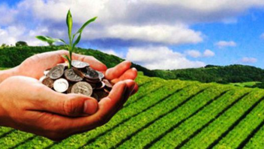 कोरोनापछिको अर्थतन्त्र :कृषिलाई प्राथमिकता दिन सुझाव