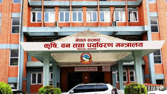 मन्त्री चौधरीसँग जापानी राजदूत मायदाको भेटवार्ता