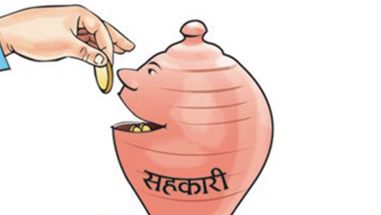 कृषि शहकारी संस्था व्यापारमुखी बन्दै (भिडियो सहित)