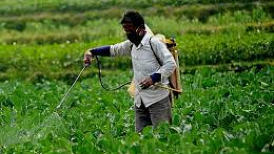 फाइल फोटो 