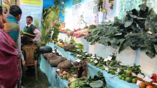 बैतडीमा महाशिवरात्रिमा कृषि प्रदर्शनी मेला लाग्ने