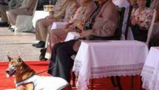 कुकुरको बेइज्जत गरेको आरोपमा ३७ वर्षको जेल सजाय !