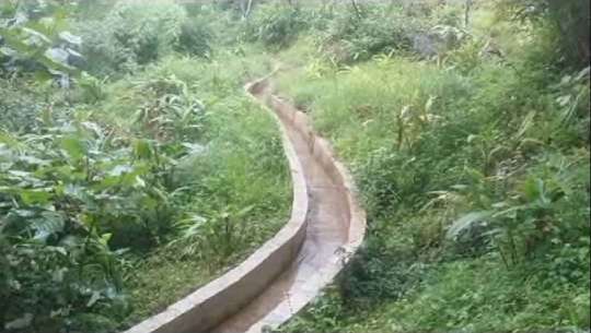 फाईल फोटो 