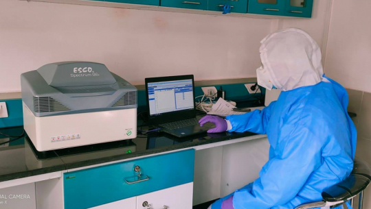 डोटीको बोगटानका ४० जनाको पिसीआर रिर्पोट नेगेटिभ