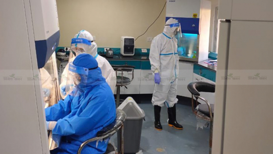 40,000 throat swab samples collected in Far-West