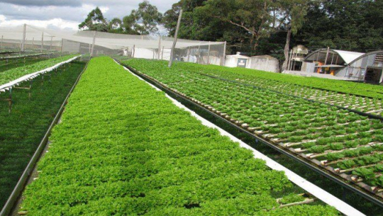 करोड लागतमा कृषि फार्म