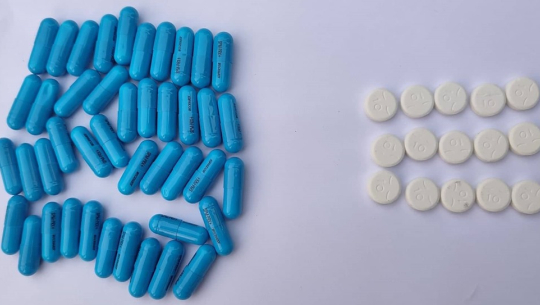 कैलालीमा विभिन्न किसिमका ट्यावलेट र चरेशसहित २ जना पक्राउ