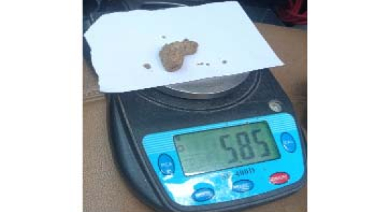 कञ्चनपुरमा ५ ग्राम भन्दा बढी खैरोहेरोईनसहित एक जना पक्राउ