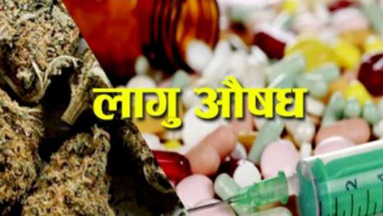 कञ्चनपुरमा लागुऔषध दुव्र्यसन नियन्त्रण चुनौती  बन्दै: पाँच महिनामा ८७ पक्राउ