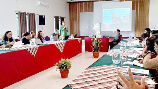 सुदूरपश्चिमका ४० प्रतिशत महिला घरायसी काममै सिमित