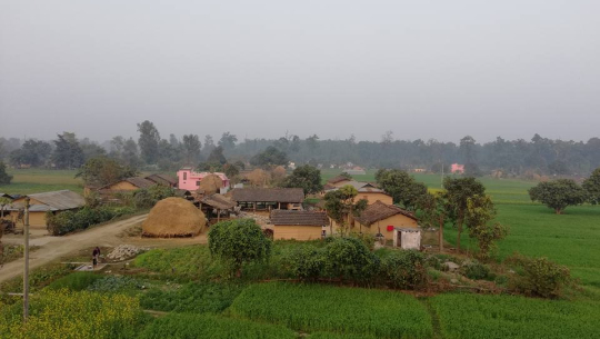 गोदावरी नगरपालिका वडा नम्वर ८ मजगाउँ