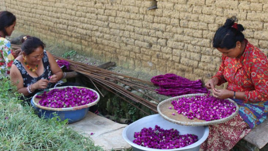 फाइल फोटो