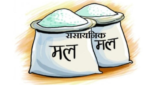 रासायनिक मल खोज्नमै बित्छ कैलालीका किसानको दैनिकी