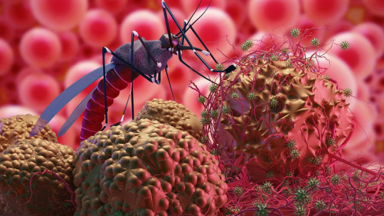 औलोको जोखिममा कञ्चनपुर