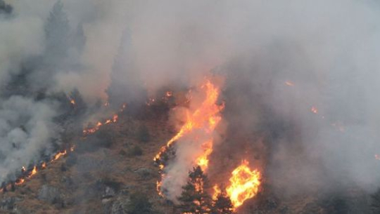 फाईल फोटो 