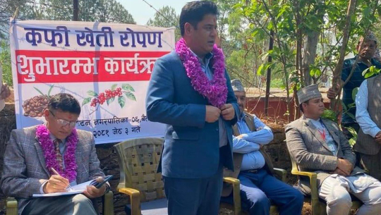 मन्त्री भण्डारीद्वारा बैतडीबाट कफीखेतीको शुभारम्भ